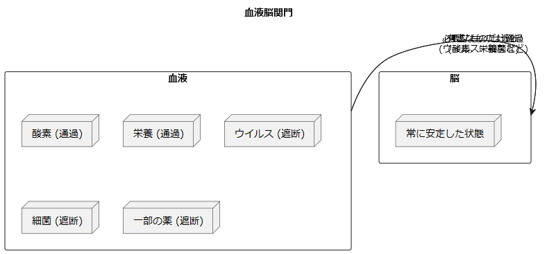 血液脳関門の役割