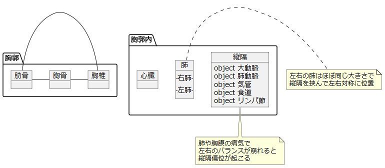 胸郭の中心、縦隔とは？